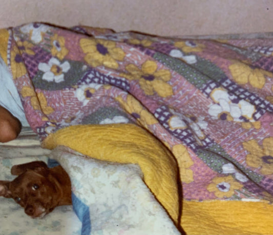 My first Quilt , or as I refer to it …I lost my sewjo.
