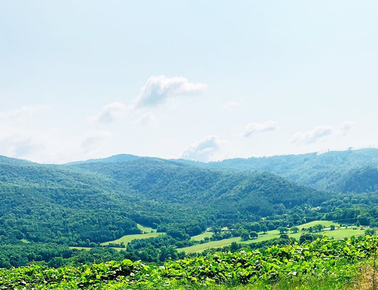 A Stroll In Appalachia.